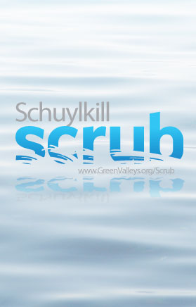 Schuylkill Scrub